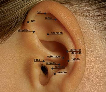 puntos_-de_auriculoterapia